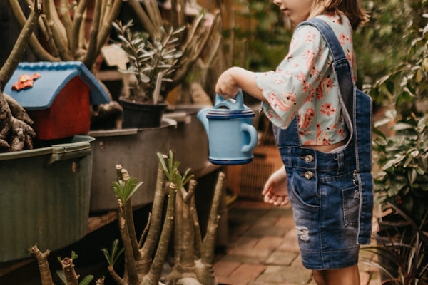 Bebek Ayakkabıları
